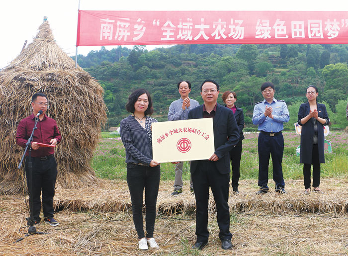 【开启新征程 勇当排头兵 大调研·样本】天台县南屏乡开启"绿色田园